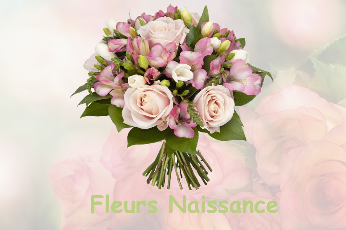 fleurs naissance MONT-DEVANT-SASSEY