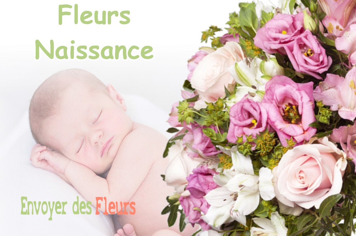 lIVRAISON FLEURS NAISSANCE à MONT-DEVANT-SASSEY